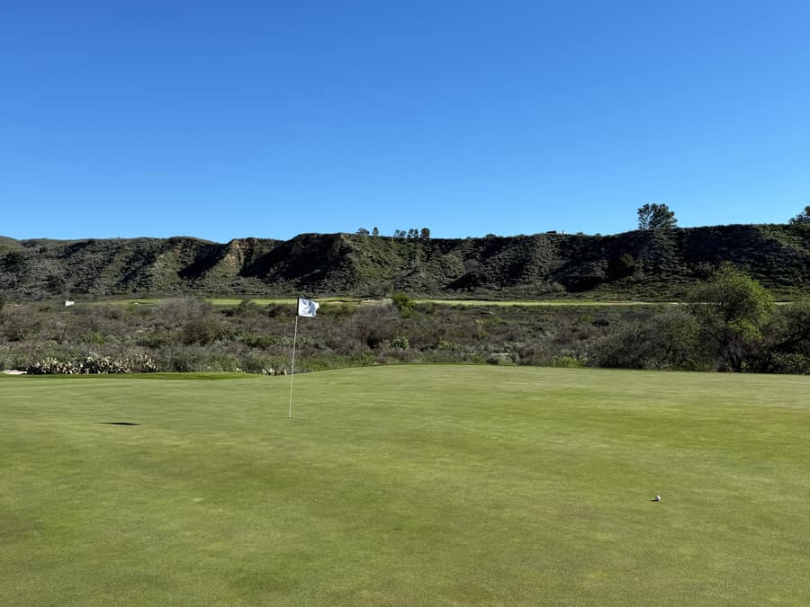 A flag and golf ball on a green beneath rolling hills